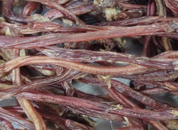 Dehydrated Lamb Pizzle Chew